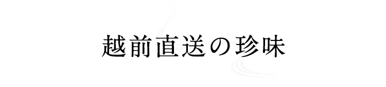 越前直送の珍味